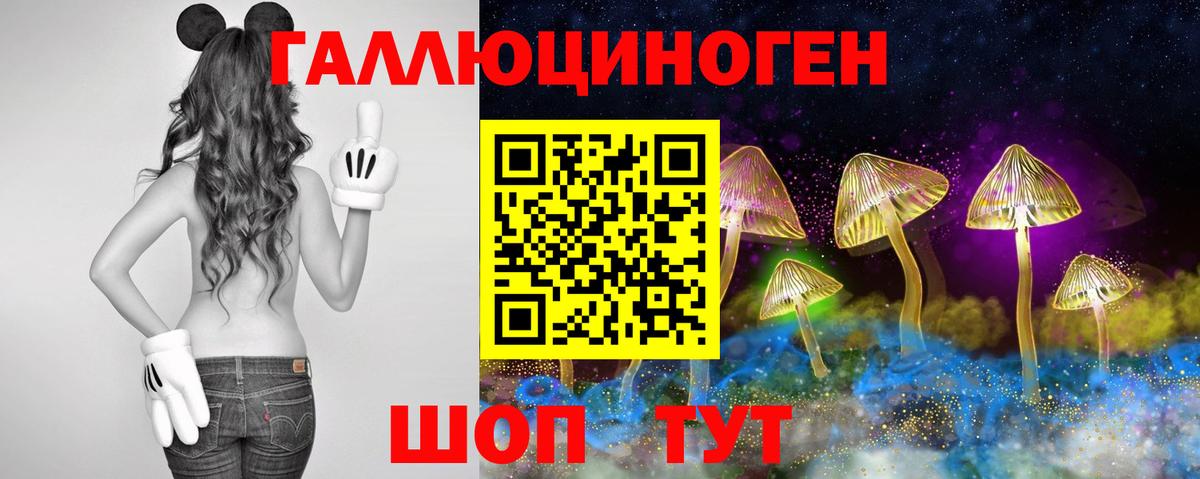 Псилоцибиновые грибы Psilocybe Новоалтайск
